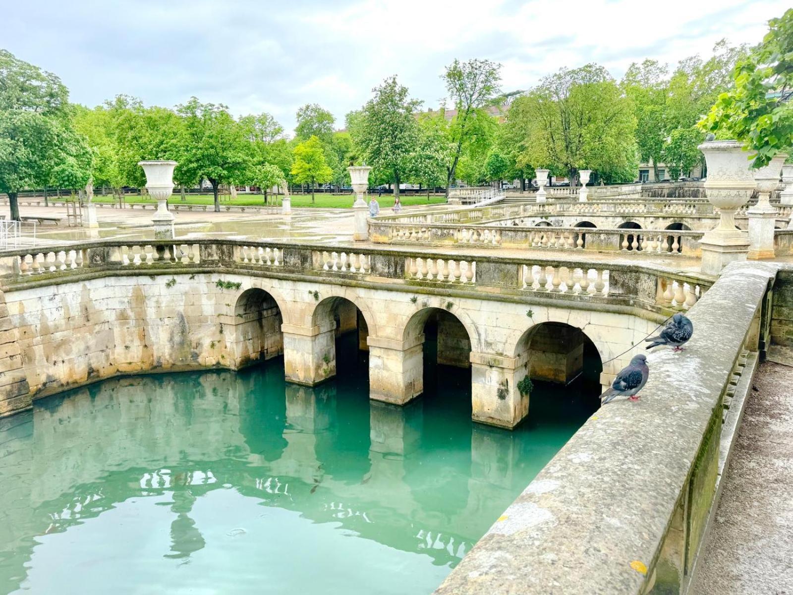 Au Coeur Du Centre Historique - Immeuble Classe - Terrasse - Climatise Nîmes Dış mekan fotoğraf