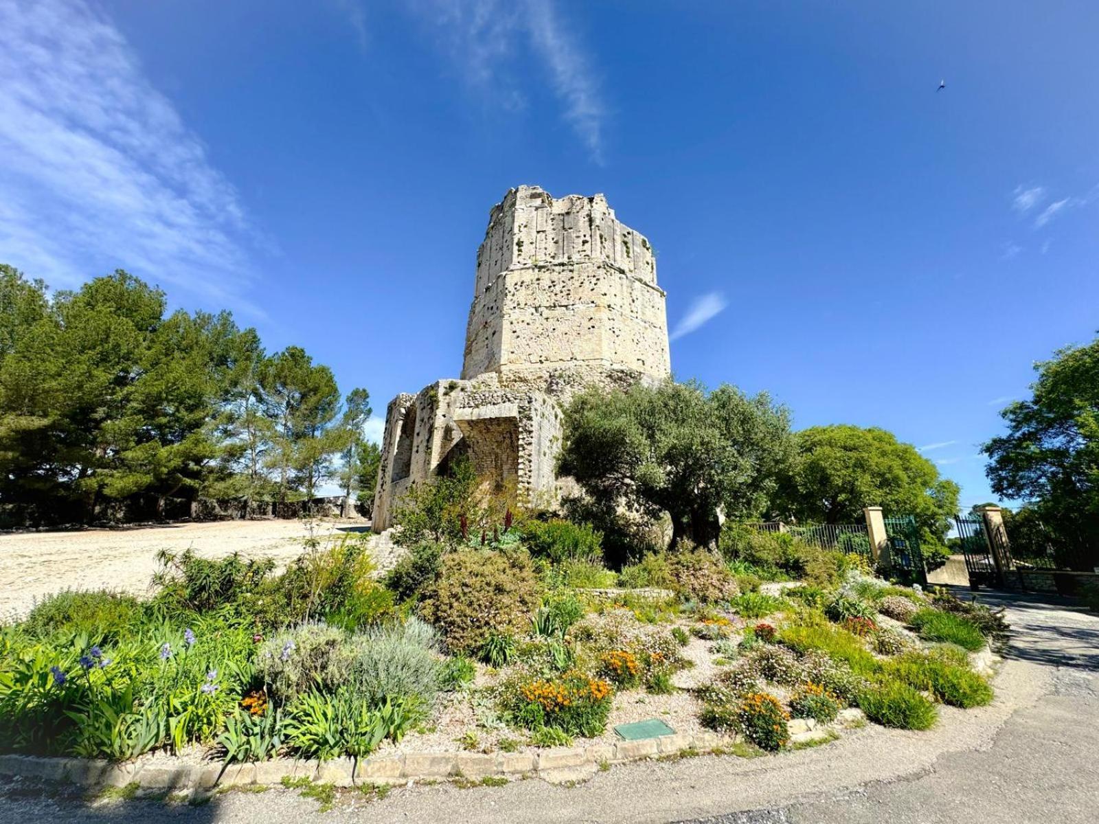 Au Coeur Du Centre Historique - Immeuble Classe - Terrasse - Climatise Daire Nîmes Dış mekan fotoğraf